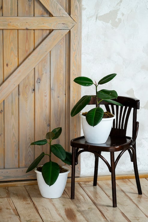 Interiorismo sostenible con madera y plantas